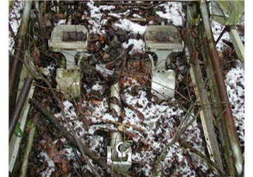 IMO